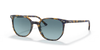 Ray-Ban New Elliot Sunglasses Yellow And Blue Havana RB2197 13563M