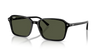 Ray-Ban Raimond Sunglasses Square Black Frame Green Lens RB2231 901/31