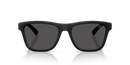 Burberry Sunglasses Matte Black BE4482U 346487 Burberry