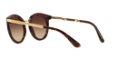 Dolce & Gabbana Round Sunglasses Havana Frame DG4268 502/13