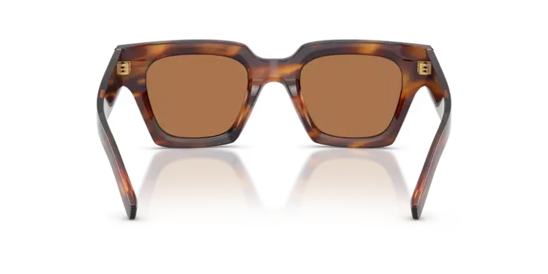 Dolce & Gabbana Men's Square Sunglasses Havana Frame DG4413 306373