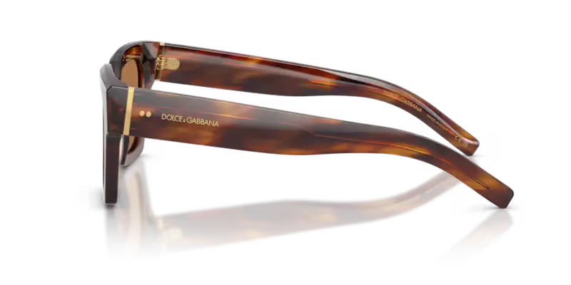 Dolce & Gabbana Men's Square Sunglasses Havana Frame DG4413 306373