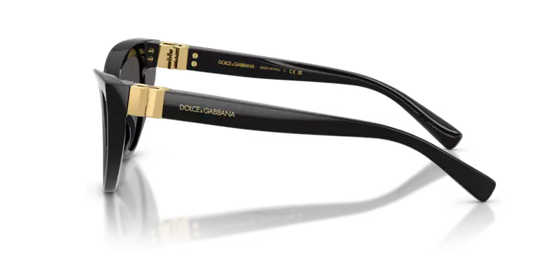 Dolce & Gabbana Cat-Eye Sunglasses Black Frame DG4497 501/87