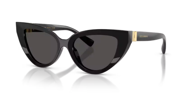 Dolce & Gabbana Cat-Eye Sunglasses Black Frame DG4497 501/87