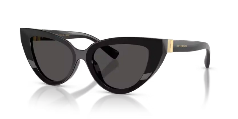 Dolce & Gabbana Cat-Eye Sunglasses Black Frame DG4497 501/87