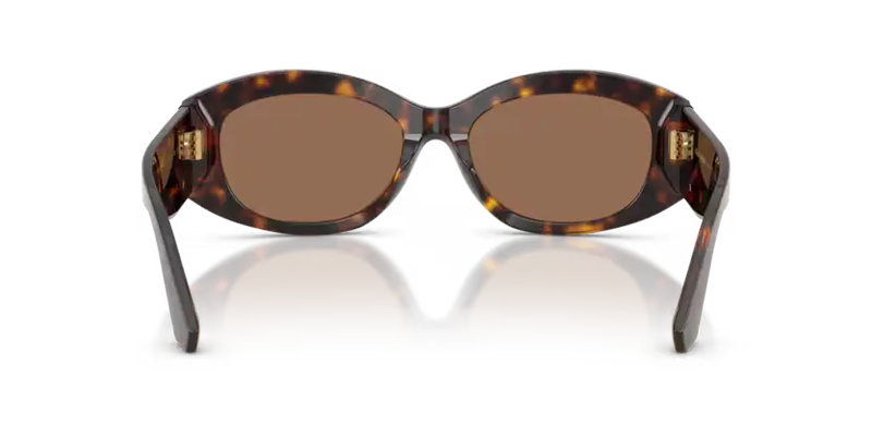 Dolce & Gabbana Oval Sunglasses Havana Frame DG4502 502/73