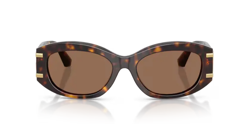 Dolce & Gabbana Oval Sunglasses Havana Frame DG4502 502/73