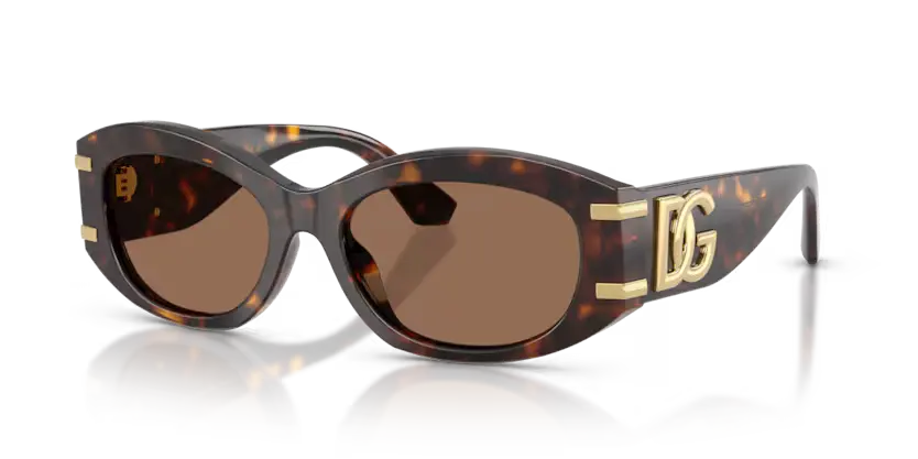 Dolce & Gabbana Oval Sunglasses Havana Frame DG4502 502/73