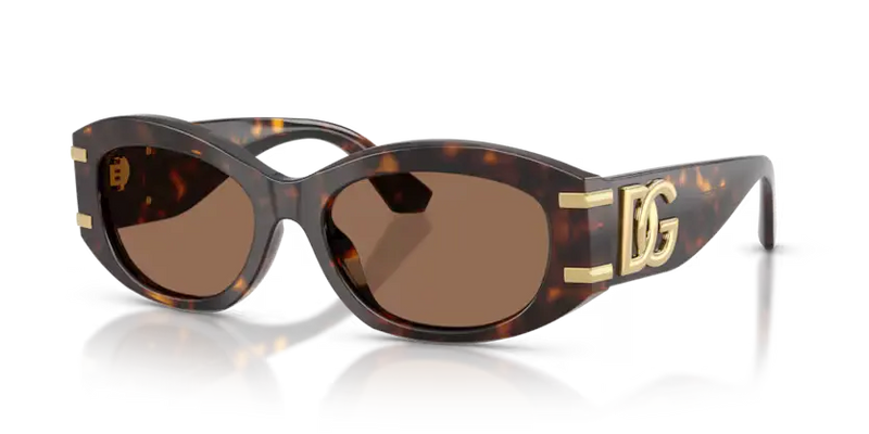 Dolce & Gabbana Oval Sunglasses Havana Frame DG4502 502/73