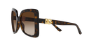 Dolce & Gabbana Butterfly Sunglasses Havana Frame DG6193U 502/13
