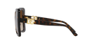 Dolce & Gabbana Butterfly Sunglasses Havana Frame DG6193U 502/13