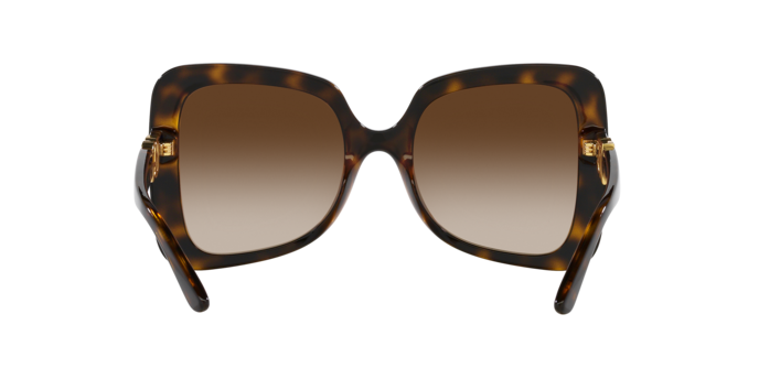 Dolce & Gabbana Butterfly Sunglasses Havana Frame DG6193U 502/13