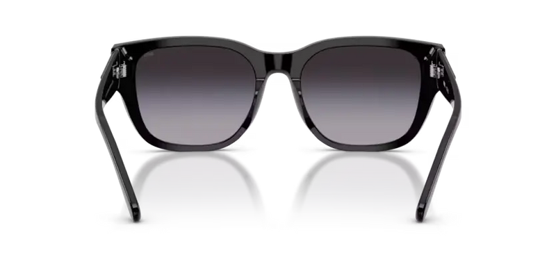 Diesel Sunglasses Square Black Frame DL2005 20018G