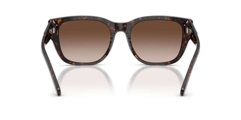 Diesel Sunglasses Square Havana Yellow Frame DL2005 202213