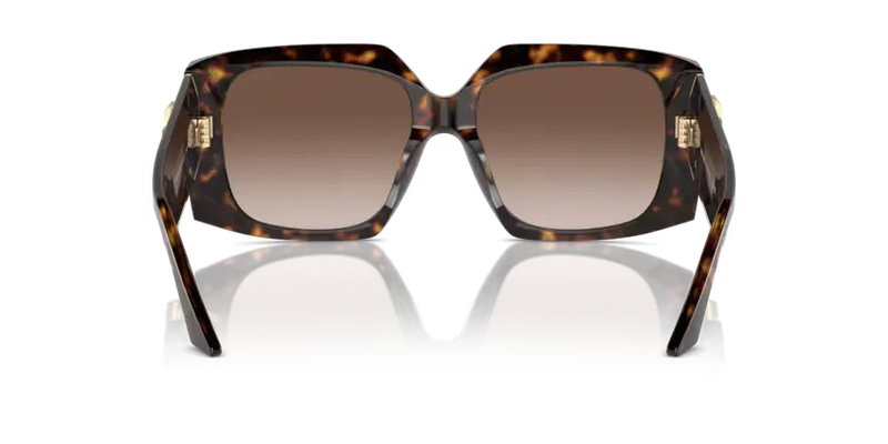 Jimmy Choo Butterfly Sunglasses Havana Frame JC5006U 500213