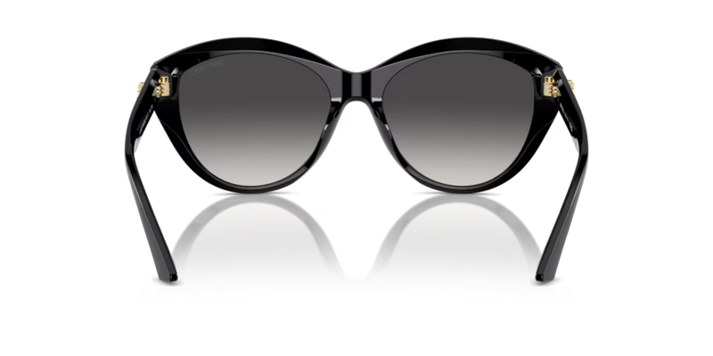 Jimmy Choo Phantos Sunglasses Black Frame JC5007 50008G