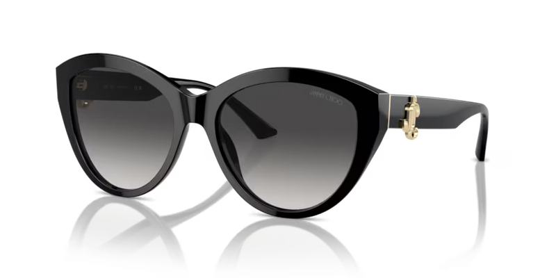 Jimmy Choo Phantos Sunglasses Black Frame JC5007 50008G