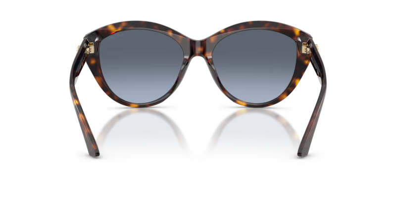 Jimmy Choo Phantos Sunglasses Havana Frame Blue Lens JC5007 50028F