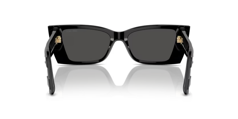 Jimmy Choo Avenue Sunglasses Rectangle Black Frame JC5009 500087