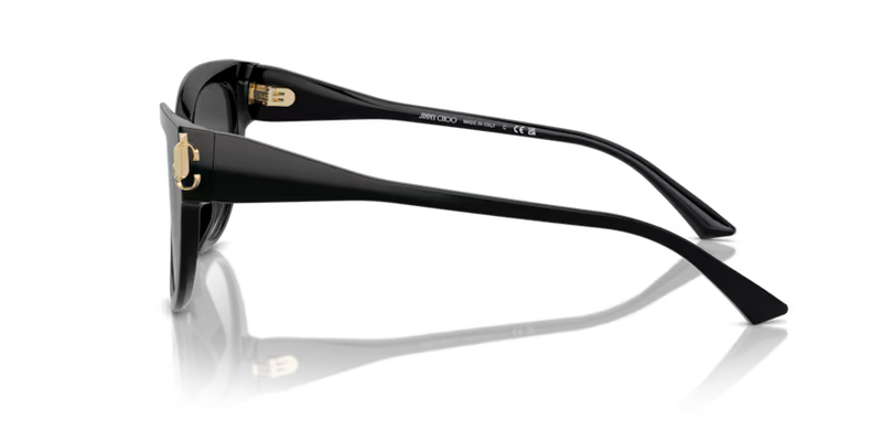 Jimmy Choo Sunglasses Phantos Black Frame Grey Lens JC5018U 50008G