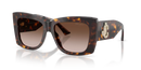 Jimmy Choo JC Sunglasses Havana JC5036B 500213 Jimmy Choo