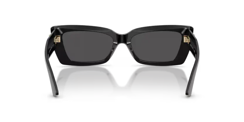Jimmy Choo Monogram Sunglasses Cat-Eye Black Frame JC5037BU 500087