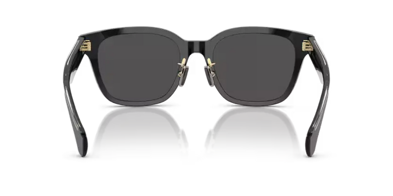 Moncler Metrope Sunglasses Square Black ME6002D 300187