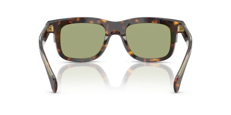 Moncler Claro Sunglasses Square Tortoise ME6004 300282