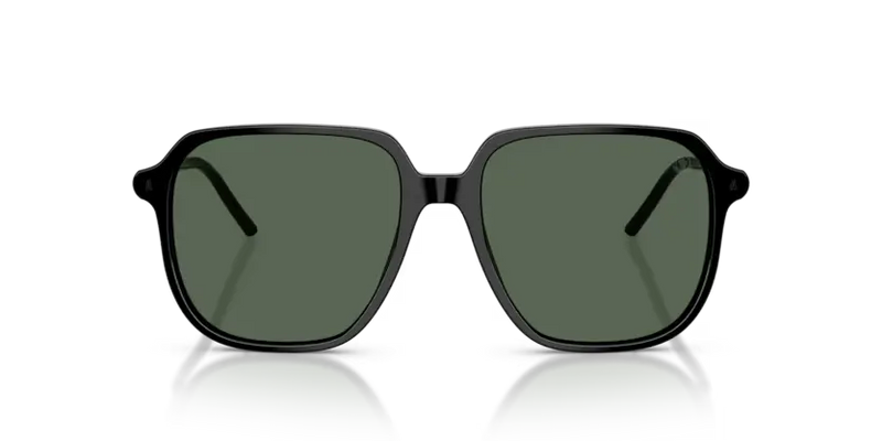 Moncler Cylin Sunglasses Pilot Black Frame Green Lens ME6010 300171