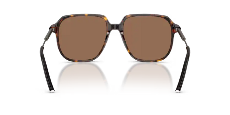 Moncler Cylin Sunglasses Pilot Havana ME6010 300273