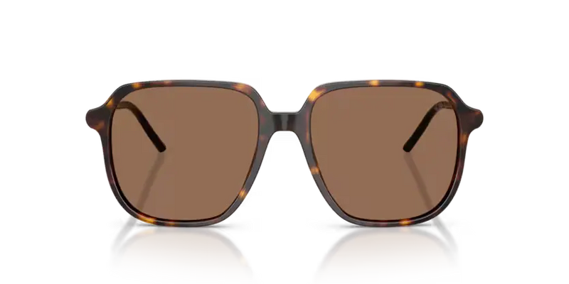 Moncler Cylin Sunglasses Pilot Havana ME6010 300273