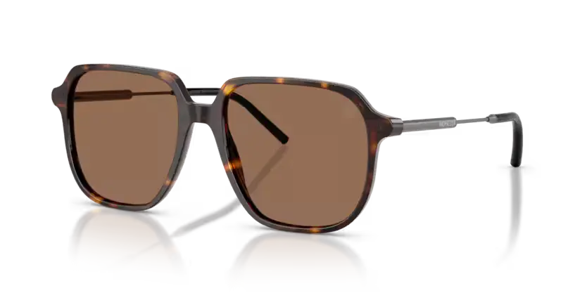 Moncler Cylin Sunglasses Pilot Havana ME6010 300273