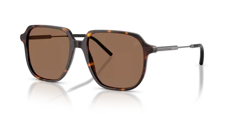 Moncler Cylin Sunglasses Pilot Havana ME6010 300273