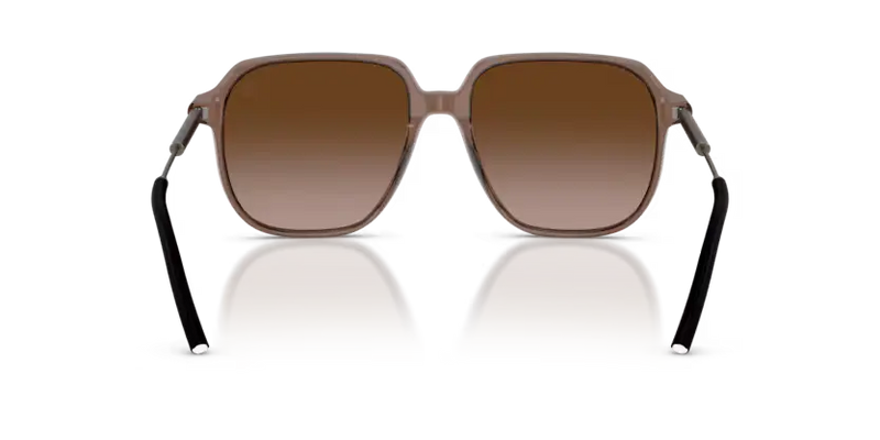 Moncler Cylin Sunglasses Pilot Transparent Brown ME6010 301813