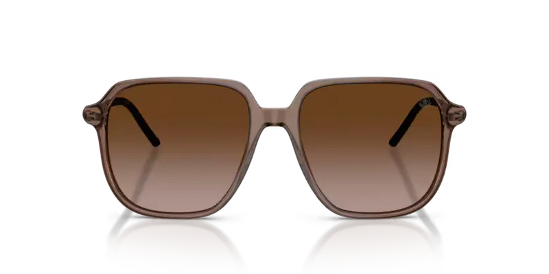 Moncler Cylin Sunglasses Pilot Transparent Brown ME6010 301813