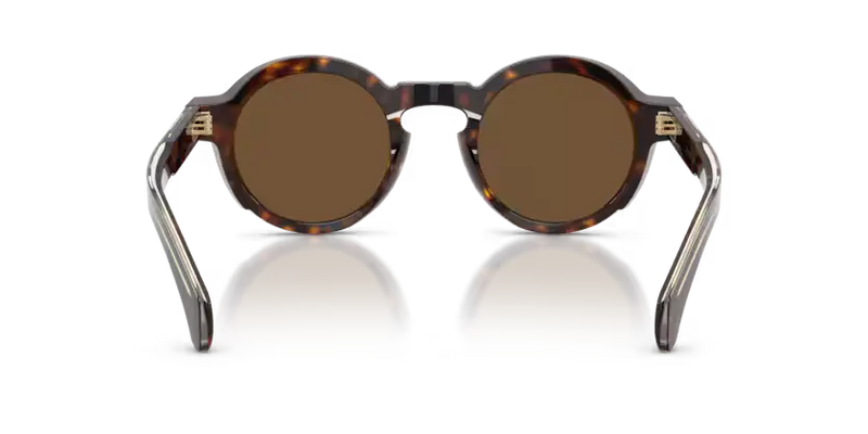 Moncler Aurone Sunglasses Round Havana ME6012 300273