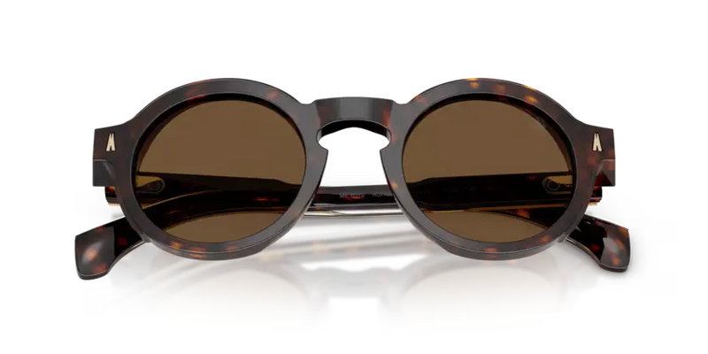 Moncler Aurone Sunglasses Round Havana ME6012 300273