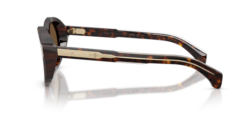 Moncler Aurone Sunglasses Round Havana ME6012 300273