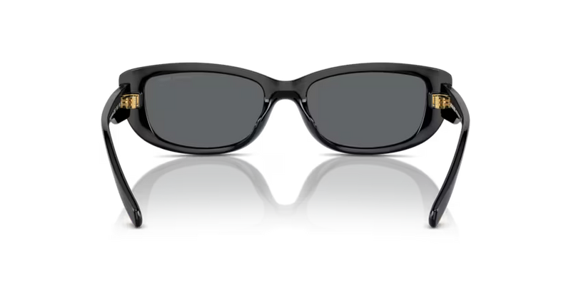 Michael Kors Asheville Sunglasses Rectangle Black Frame MK2210U 300587