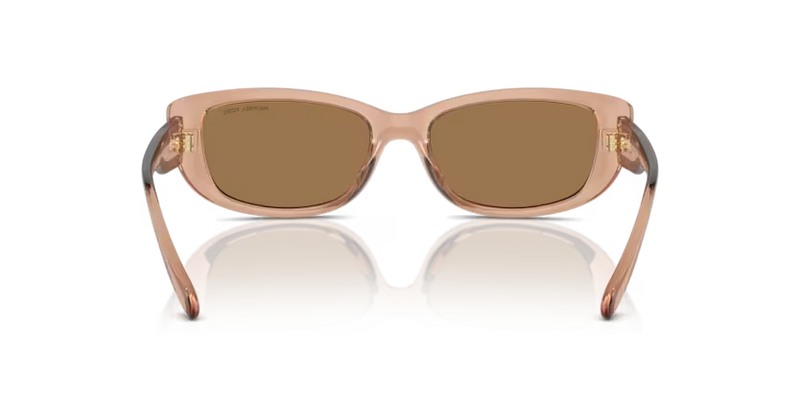 Michael Kors Asheville Sunglasses Rectangle Brown Transparent Frame MK2210U 3999/O