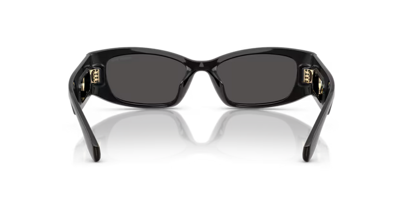 Michael Kors Rhodes Sunglasses Irregular Black Frame MK2243U 300587