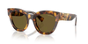 Miu Miu Ladies Havana Sunglasses MU 01YS 14L09Z Miu Miu