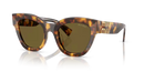 Miu Miu Ladies Havana Sunglasses MU 01YS 14L09Z Miu Miu