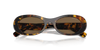 Ladies Havana Sunglasses MU 06ZS VAU06B Miu Miu