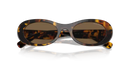 Miu Miu Ladies Havana Sunglasses MU 06ZS VAU06B Miu Miu
