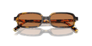 Miu Miu Ladies Honey Havana Sunglasses MU 11ZS VAU2Z1