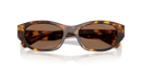 Miu Miu Ladies Havana Sunglasses MU A03S 14L60M Miu Miu