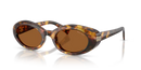 Miu Miu Ladies Havana Sunglasses MU B09S 14L20V