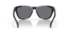 Oakley Frogskins Sunglasses Black OO9013 9013C4 Oakley