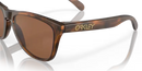 Oakley Frogskins Sunglasses Matte Tortoise OO9013 9013C5 Oakley